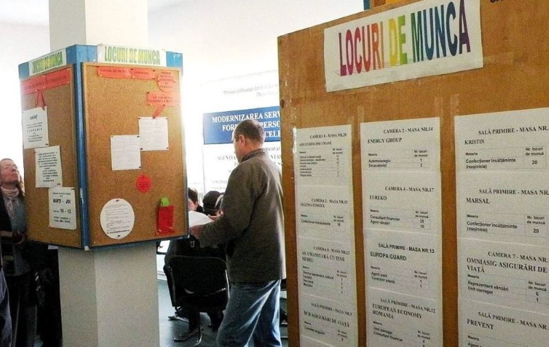 Schimbări importante pe piața muncii din Bacău: 60 de zile pentru înscrierea absolvenților la AJOFM