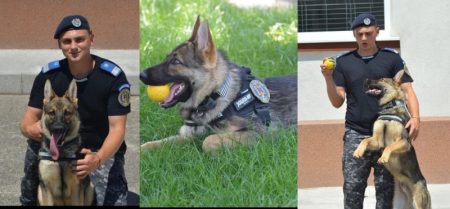 Foto/Jandarm la doar opt luni: Ronny, noul câine de serviciu al I.J.J. Bacău, a îmbrăcat uniforma militară