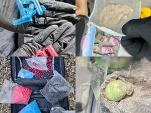 Percheziții DIICOT în Bacău: peste un kilogram de droguri de mare risc aduse din Marea Britanie într-un colet expediat de o altă persoană 2 drog1
