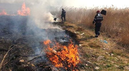 Nouă incendii de vegetație izbucnite într-o singură zi în județul Bacău au pârjolit 48 de hectare. Vinovații riscă să piardă subvențiiile APIA