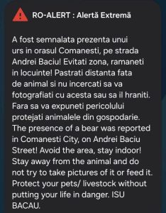 Două mesaje RO-ALERT în doar o oră la Comănești, după ce cinci urși au fost localizați pe o stradă din oraș 1 WhatsApp Image 2026 09 21 at 08.44.55