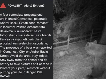 Două mesaje RO-ALERT în doar o oră la Comănești, după ce cinci urși au fost localizați pe o stradă din oraș Urșii observați pe strada Andrei Baciului din Comănești.