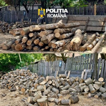 Nereguli grave la un depozit de lemn din Dărmănești: zeci de metri cubi ”fentați” prin aplicația SUMAL 2.0