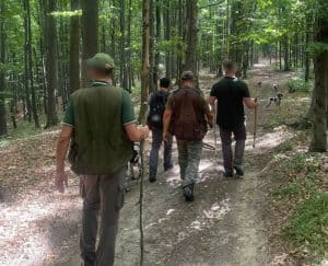 Căutători ilegali de trufe amendați cu 4.000 de lei de jandarmii băcăuani