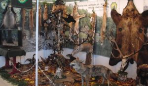 Weekend de poveste în Bacău: începe Hunting Moldavia- Expo Vânătoare, Pescuit & Outdoor 2026 și Festivalul HuntFest