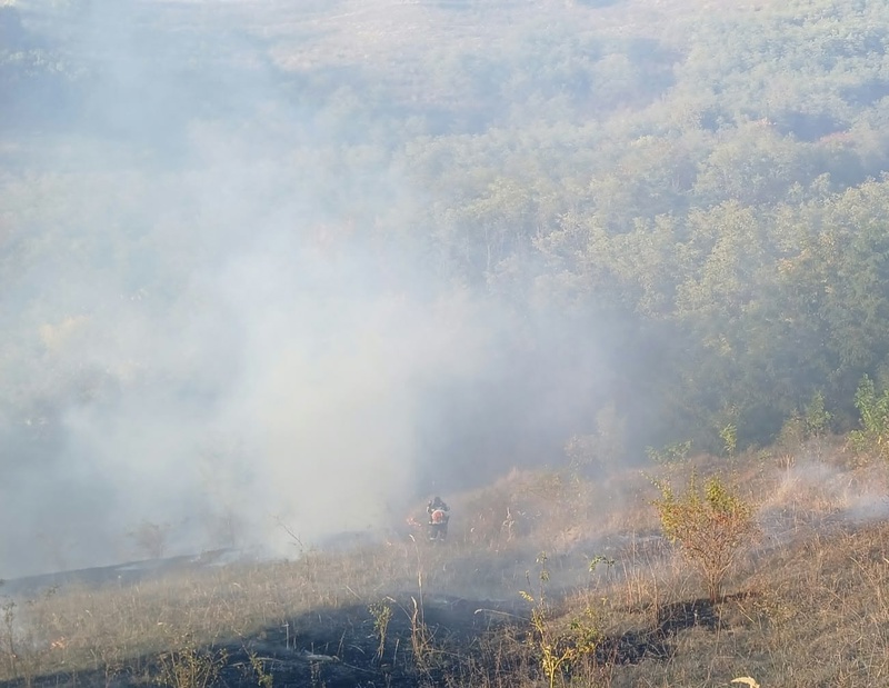 FOTO. Aproximativ 50 ha de vegetație uscată au ars în urma unui incendiu