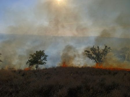 FOTO. Aproximativ 50 ha de vegetație uscată au ars în urma unui incendiu