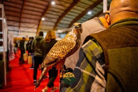 Weekend de poveste în Bacău: începe Hunting Moldavia- Expo Vânătoare, Pescuit & Outdoor 2026 și Festivalul HuntFest Pasăre de vânătoare expusă la Hunting Moldavia Expo în Bacău.