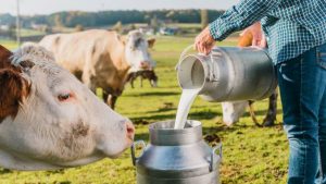 APIA Bacău dă startul plăților în avans pentru Campania 2026: Peste 1.300 de lei/cap de animal și până la 400 de lei/ hectar pentru fermieri 2 APIA Bacău dă startul plăților în avans pentru Campania 2026: Peste 1.300 de lei/cap de animal și până la 400 de lei/ hectar pentru fermieri