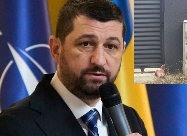 Cap de porc lăsat în fața casei unui cofondator AUR. Marius Lulea a depus plângere penală și îl indică pe George Simion drept suspect Cap de porc lăsat în fața casei unui cofondator AUR. Marius Lulea a depus plângere penală și îl indică pe George Simion drept suspect