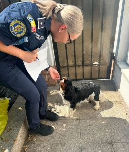„Să fim buni cu cei care nu își pot cere drepturile”- Lecția de umanitate transmisă de IPJ Bacău de Ziua Animalelor 2 poli cane