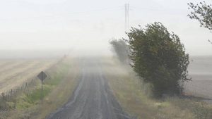 Cod galben de vânt puternic și ploi moderate în Moldova 1 Cod galben de vânt puternic și ploi moderate în Moldova